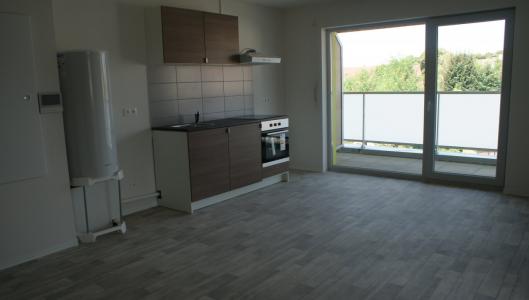 For rent Seloncourt 2 rooms 42 m2 Doubs (25230) photo 0