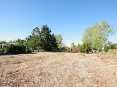 For sale Grues 2700 m2 Vendee (85580) photo 0
