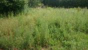 For sale Land Linas  240 m2