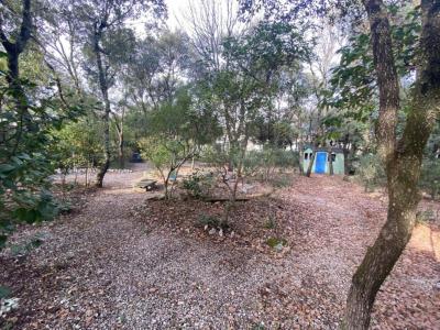 For sale Saint-gely-du-fesc 6 rooms 148 m2 Herault (34980) photo 2