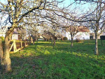 For sale Chatre 7377 m2 Indre (36400) photo 1