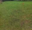 For sale Land Neuilly-sur-marne  199 m2