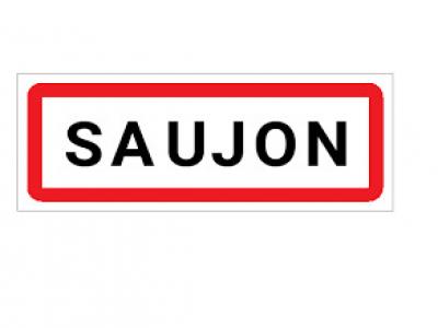For sale Saujon 667 m2 Charente maritime (17600) photo 2