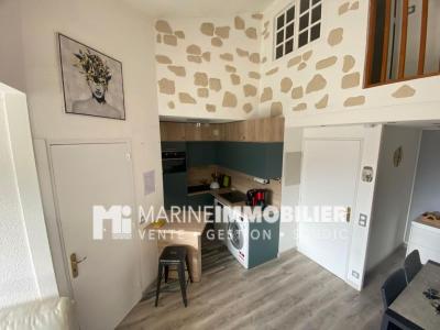 Acheter Appartement 51 m2 Argeles-sur-mer
