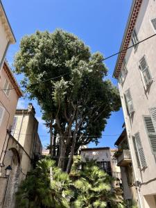 For sale Antibes VIEIL ANTIBES 3 rooms 28 m2 Alpes Maritimes (06600) photo 0