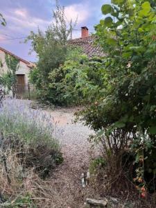 For sale Anche CHAUNAY 5 rooms 130 m2 Vienne (86700) photo 4