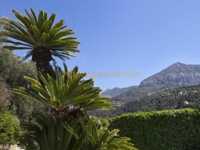 Life-annuity Menton 10 rooms 713 m2 Alpes Maritimes (06500) photo 0