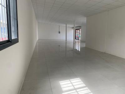 Annonce Location Local commercial Cayenne 973