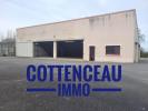 For rent Commerce Angers CHEMILLE-EN-ANJOU 340 m2