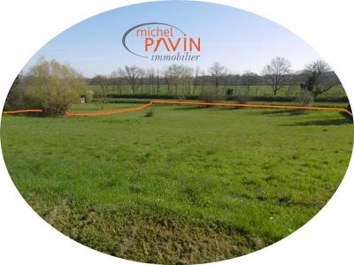 For sale Herry 4000 m2 Cher (18140) photo 4
