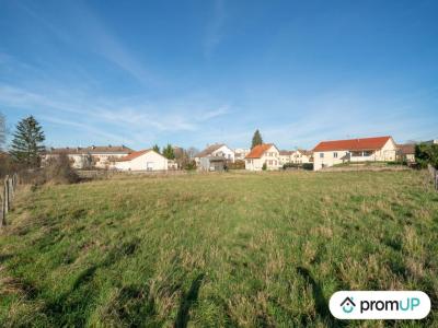 For sale Rambervillers 2000 m2 Vosges (88700) photo 4