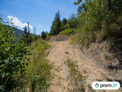 Acheter Terrain 1450 m2 Brianconnet