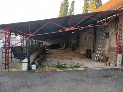 Annonce Location Commerce Beton-bazoches 77