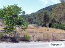 For sale Land Contes  10000 m2