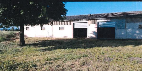 For rent Castelnau-picampeau 400 m2 Haute garonne (31430) photo 0