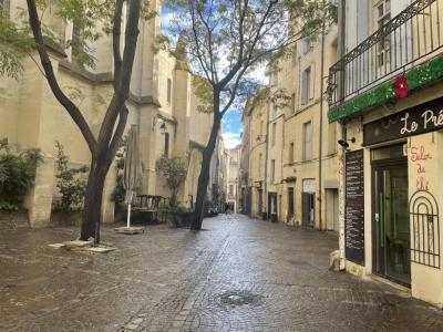 Acheter Appartement Montpellier 169000 euros
