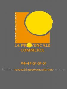 Annonce Vente Commerce Beaurecueil 13