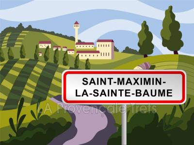 For sale Saint-maximin-la-sainte-baume 2140 m2 Var (83470) photo 0