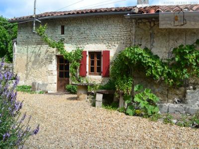 For sale Saint-severin 9 rooms 230 m2 Charente (16390) photo 0