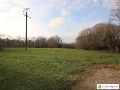 For sale Clohars-carnoet Campagne 3 rooms 61 m2 Finistere (29360) photo 1