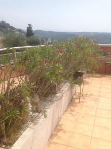 For sale Grasse 2 rooms 29 m2 Alpes Maritimes (06130) photo 0