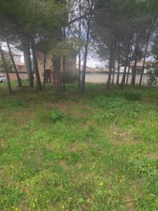 For sale Bouzigues Herault (34140) photo 1