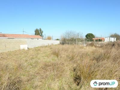 Annonce Vente Terrain Ambares-et-lagrave 33