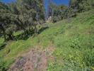 For sale Land Oletta  1406 m2