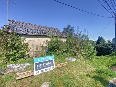 Acheter Maison Saint-jean-le-blanc Loiret