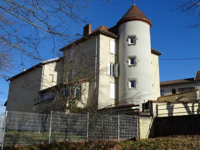 For sale Roybon 13 rooms 440 m2 Isere (38940) photo 1