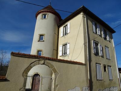 For sale Roybon 13 rooms 440 m2 Isere (38940) photo 2