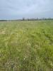 For sale Land Airel  800 m2