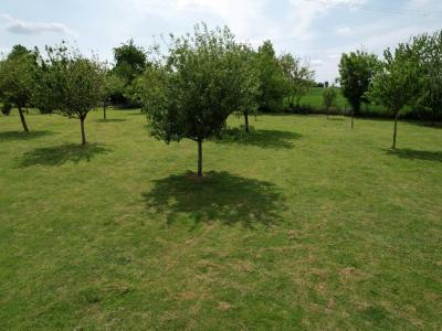 For sale Louvieres-en-auge 3000 m2 Orne (61160) photo 0