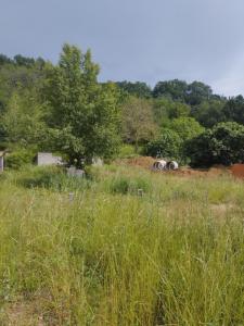 For sale Muret 813 m2 Haute garonne (31600) photo 0