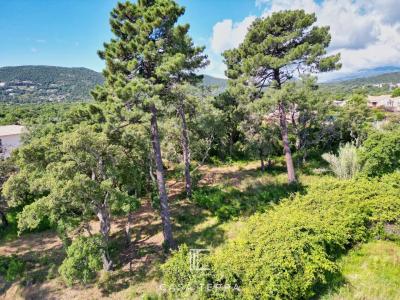 For sale Sainte-lucie-de-porto-vecchio 2045 m2 Corse (20144) photo 0