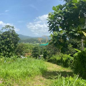 For sale Petit-bourg 2200 m2 Guadeloupe (97170) photo 0