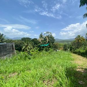 For sale Petit-bourg 2200 m2 Guadeloupe (97170) photo 1