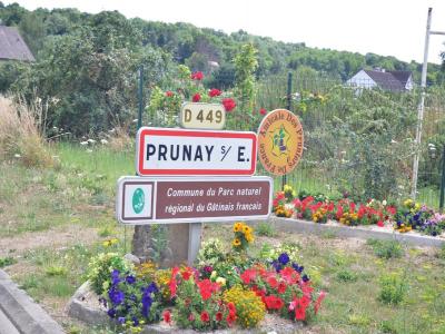 For sale Prunay-sur-essonne 545 m2 Essonne (91720) photo 3