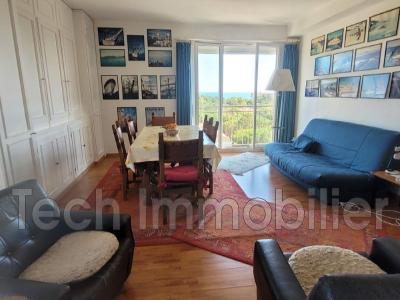 Acheter Appartement 48 m2 Argeles-sur-mer