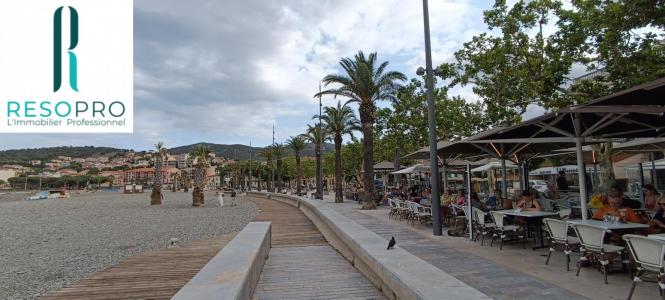 Acheter Local commercial Banyuls-sur-mer Pyrenees orientales