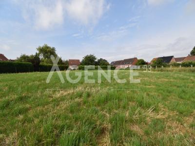 For sale Bavinchove 1386 m2 Nord (59670) photo 0