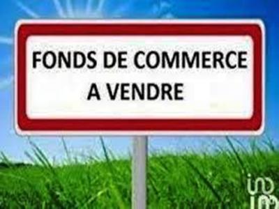 Annonce Vente Commerce Guemene-sur-scorff 56
