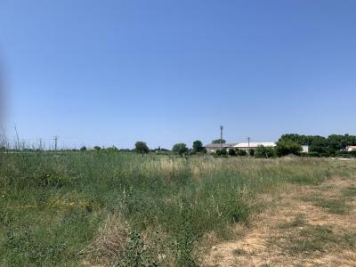 For sale Mauguio 1687 m2 Herault (34130) photo 1
