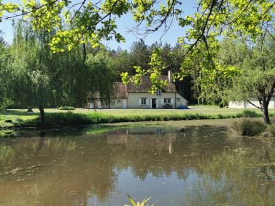 For sale Romorantin-lanthenay Loir et cher (41200) photo 0