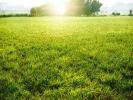 For sale Land Athis-mons  404 m2