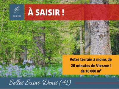 For sale Selles-saint-denis 32767 m2 Loir et cher (41300) photo 0