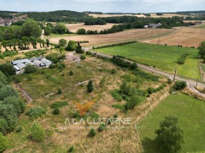 For sale Molay 2982 m2 Yonne (89310) photo 0