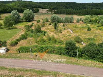 For sale Molay 2982 m2 Yonne (89310) photo 3