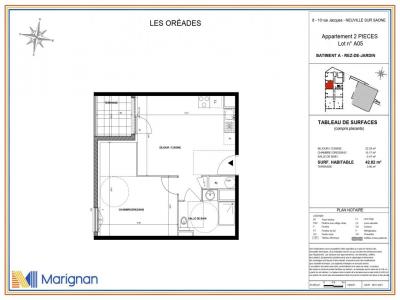 Acheter Appartement 42 m2 Neuville-sur-saone