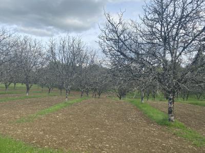 For sale Terrasson-lavilledieu Dordogne (24120) photo 0